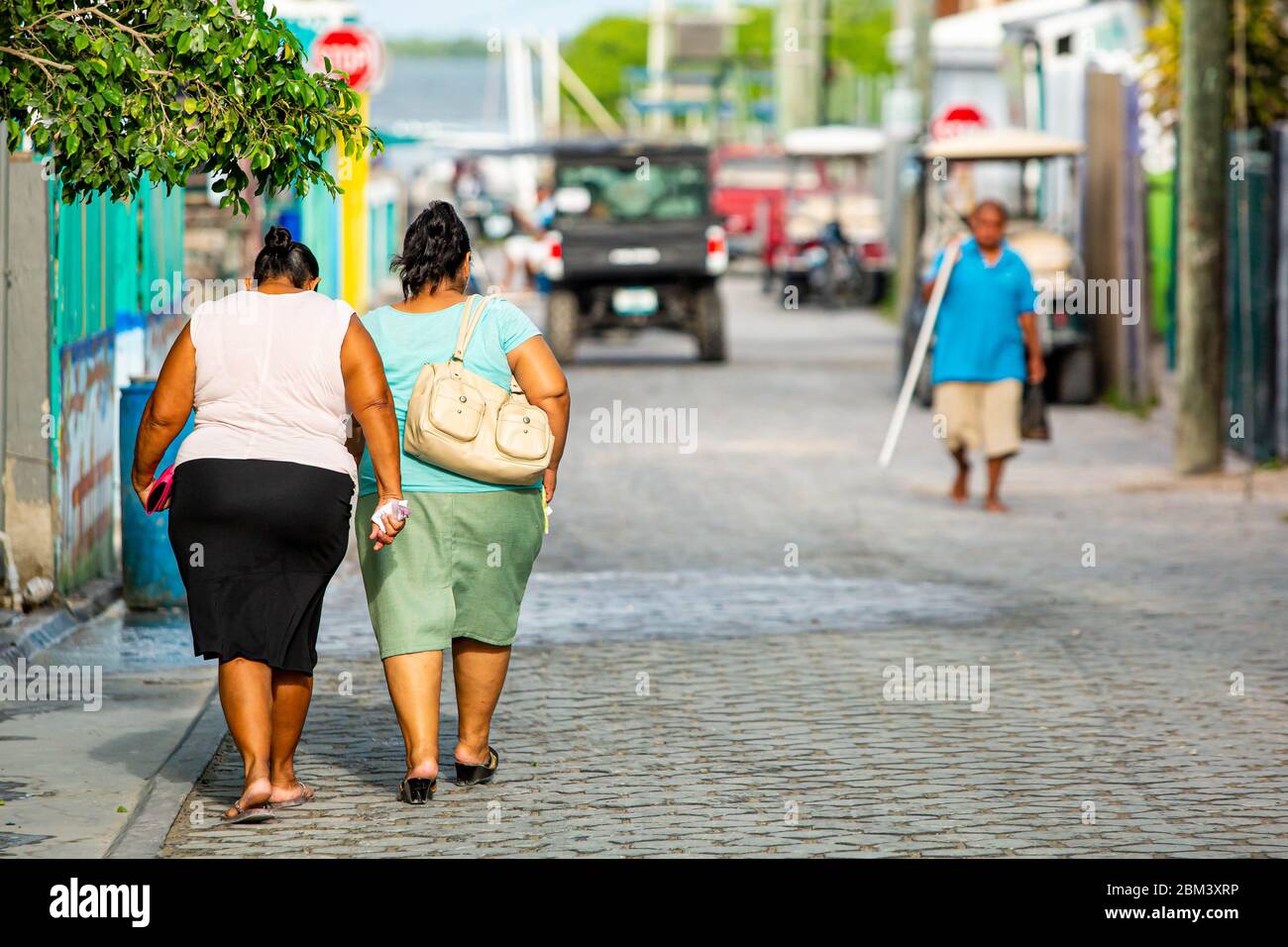 Premium Photo  A curvy overweight African American woman poses on a city  street
