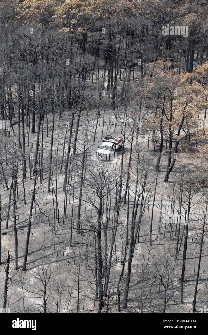 Bastrop County USA, September 16 2011: Aerial of fire damage where wildfires burned 38,000 acres and over 1,500 homes with two deaths reported. The trees in Bastrop State Park were the hardest hit with over 95% of the park acreage blackened or destroyed. ©Bob Daemmrich Stock Photo