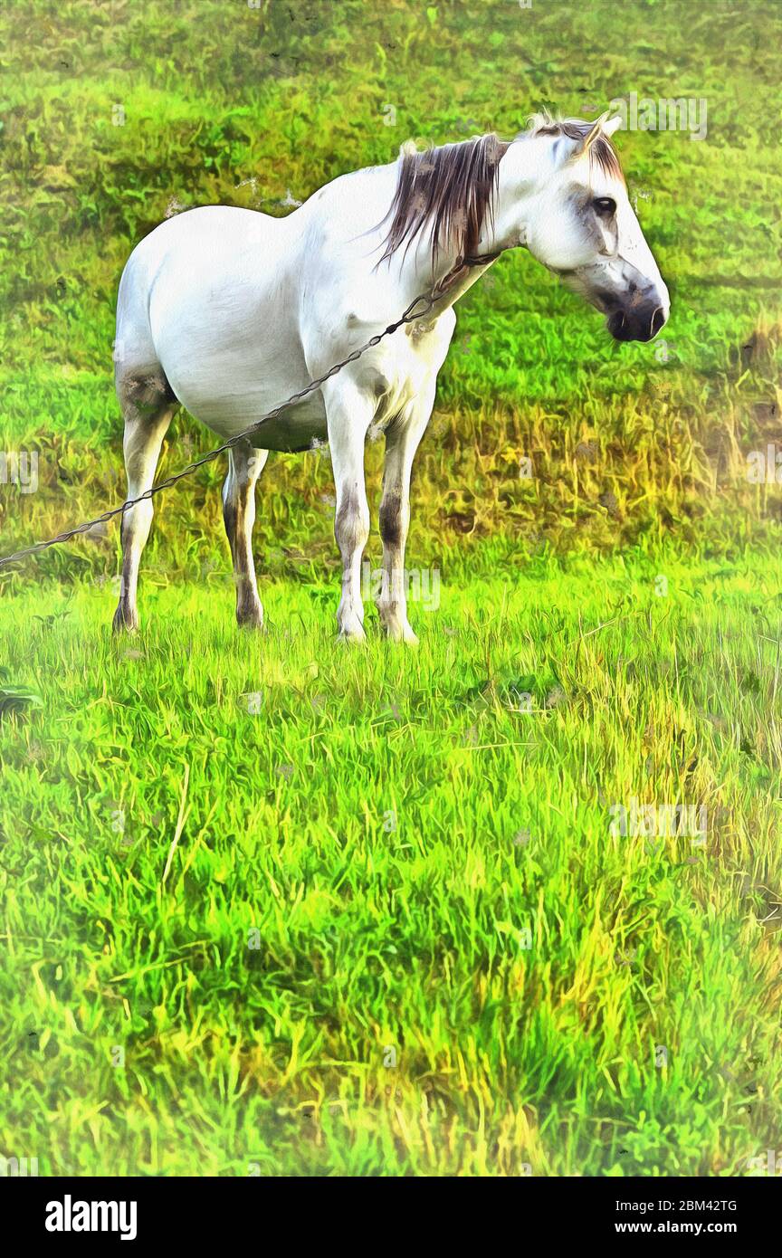 Portrait of a dapple gray horse in a meadow on Craiyon