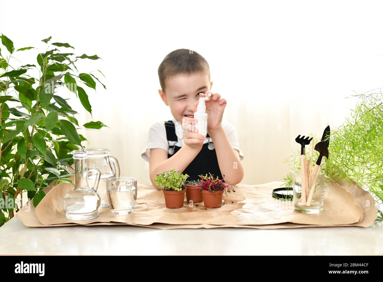 The child cares for sprouted plants in pots. Fun, splashing water in front of him takes aim and squinted one eye. Stock Photo