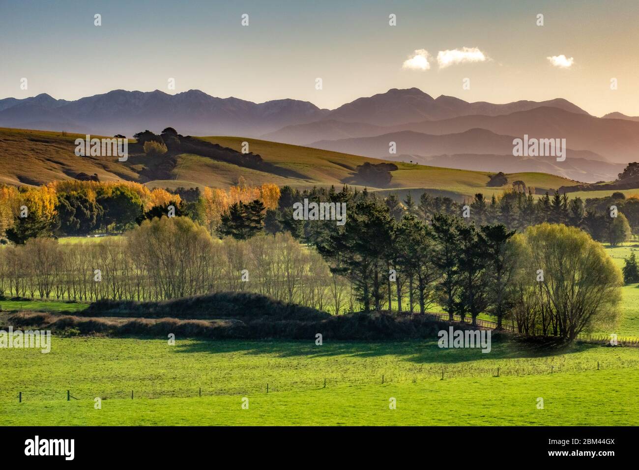 Rural Wairarapa farming country with a backdrop of the layers of the
