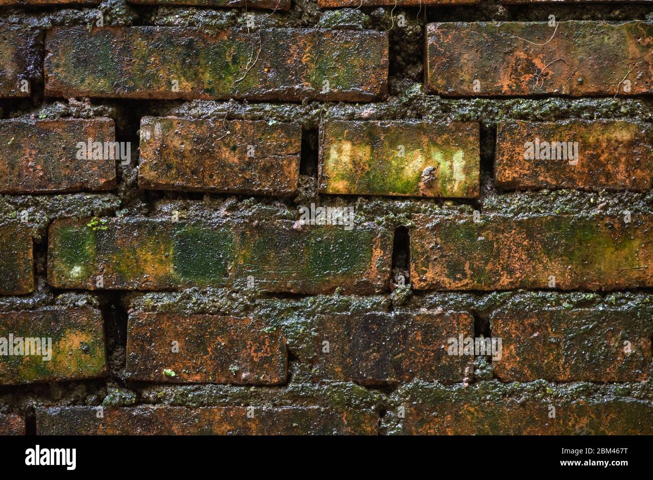 Wet dark brick wall texture close-up view Stock Photo - Alamy