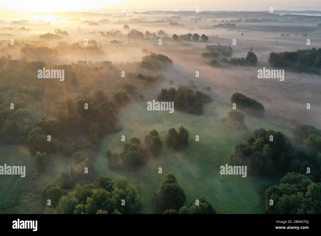 Morning landscape with golden fog, groves and fields after sunrise, aerial view Stock Photo