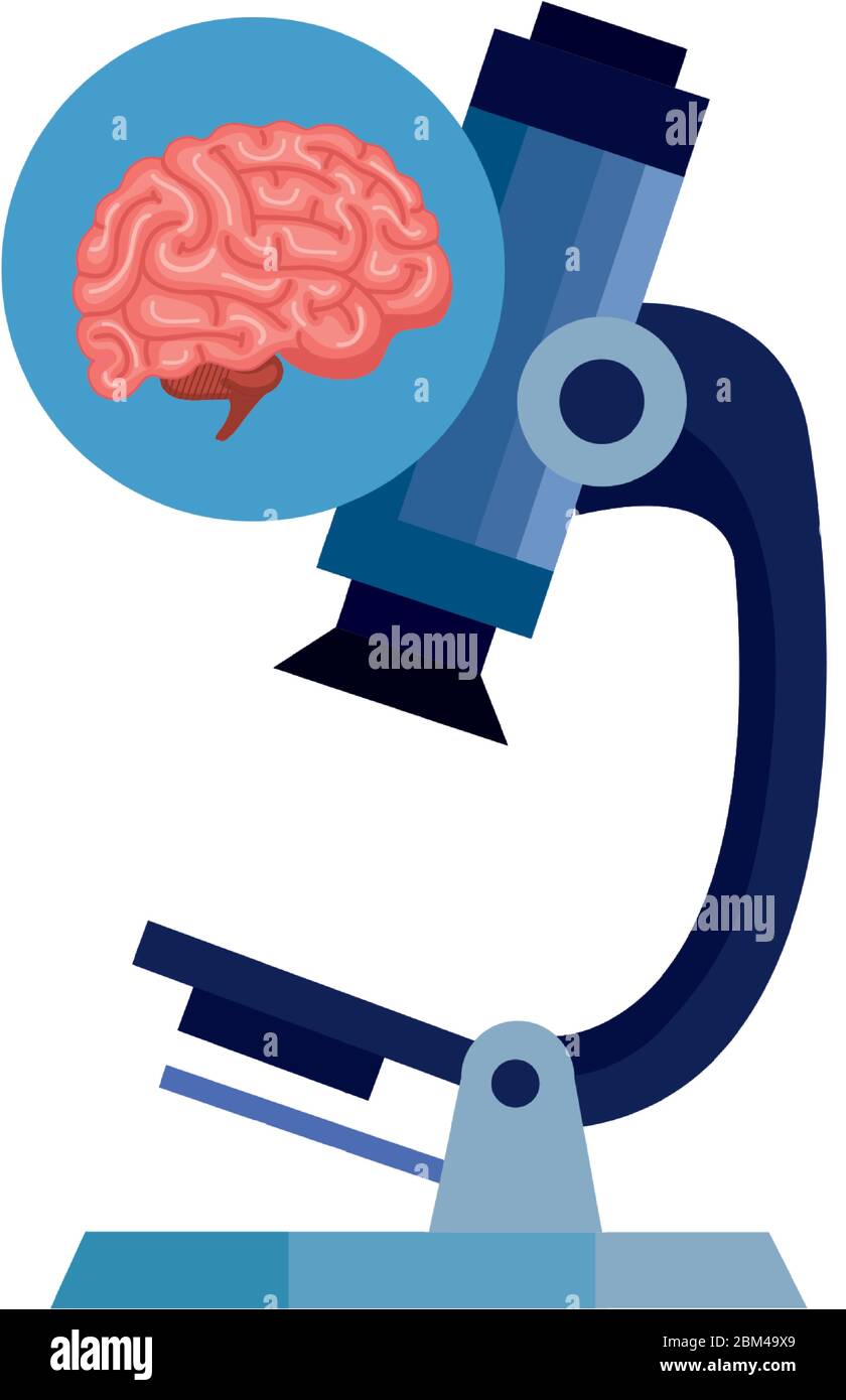 microscope with brain human isolated icon Stock Vector Image & Art - Alamy