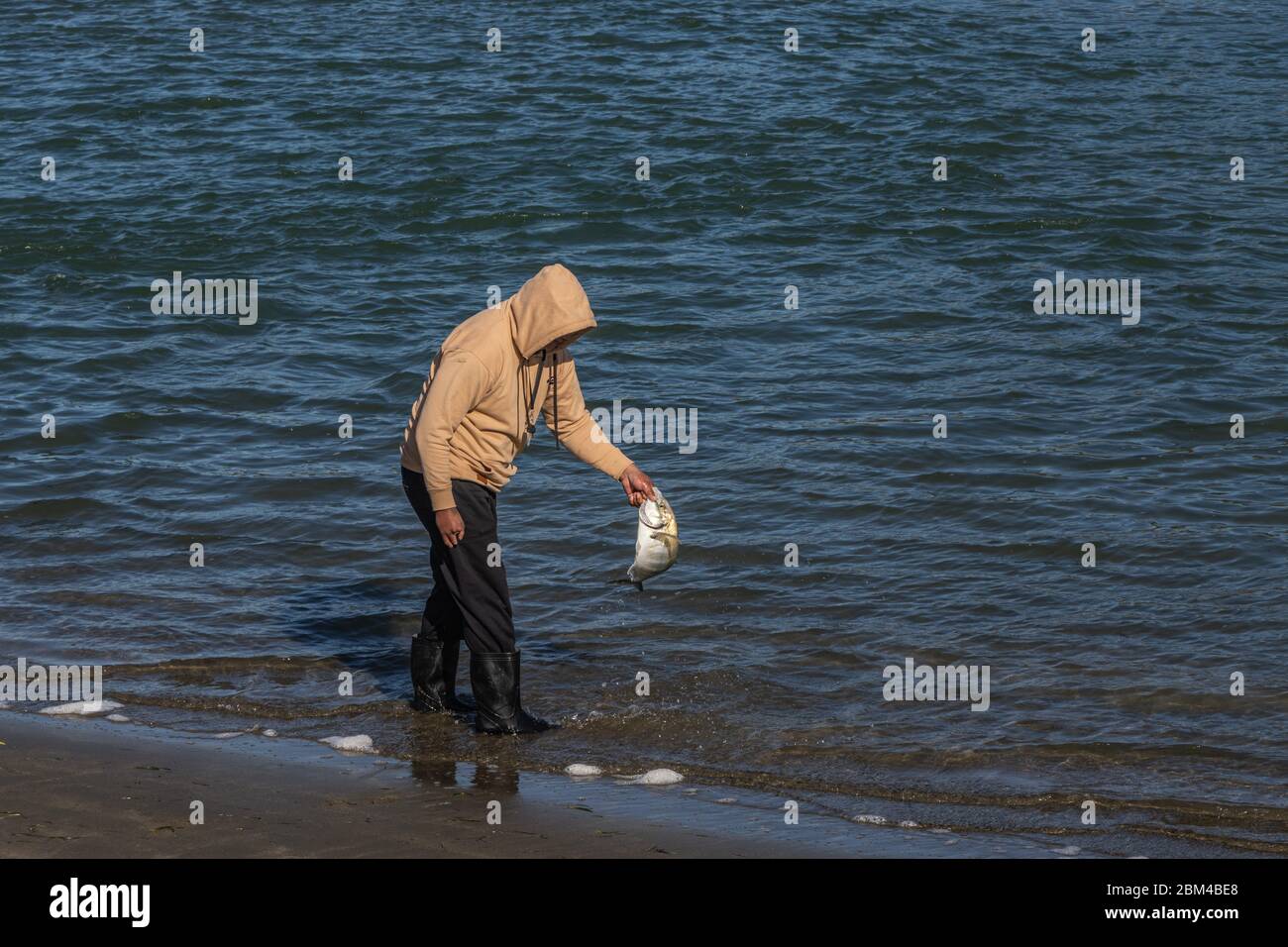 Man shorefishing during Level Three Lockdown restrictions Stock Photo