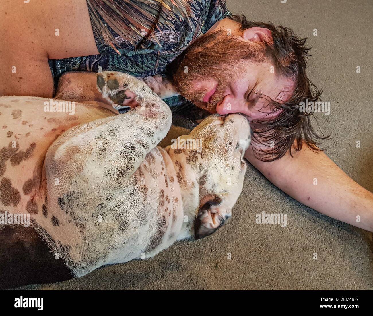 Dog licking owner's face Stock Photo