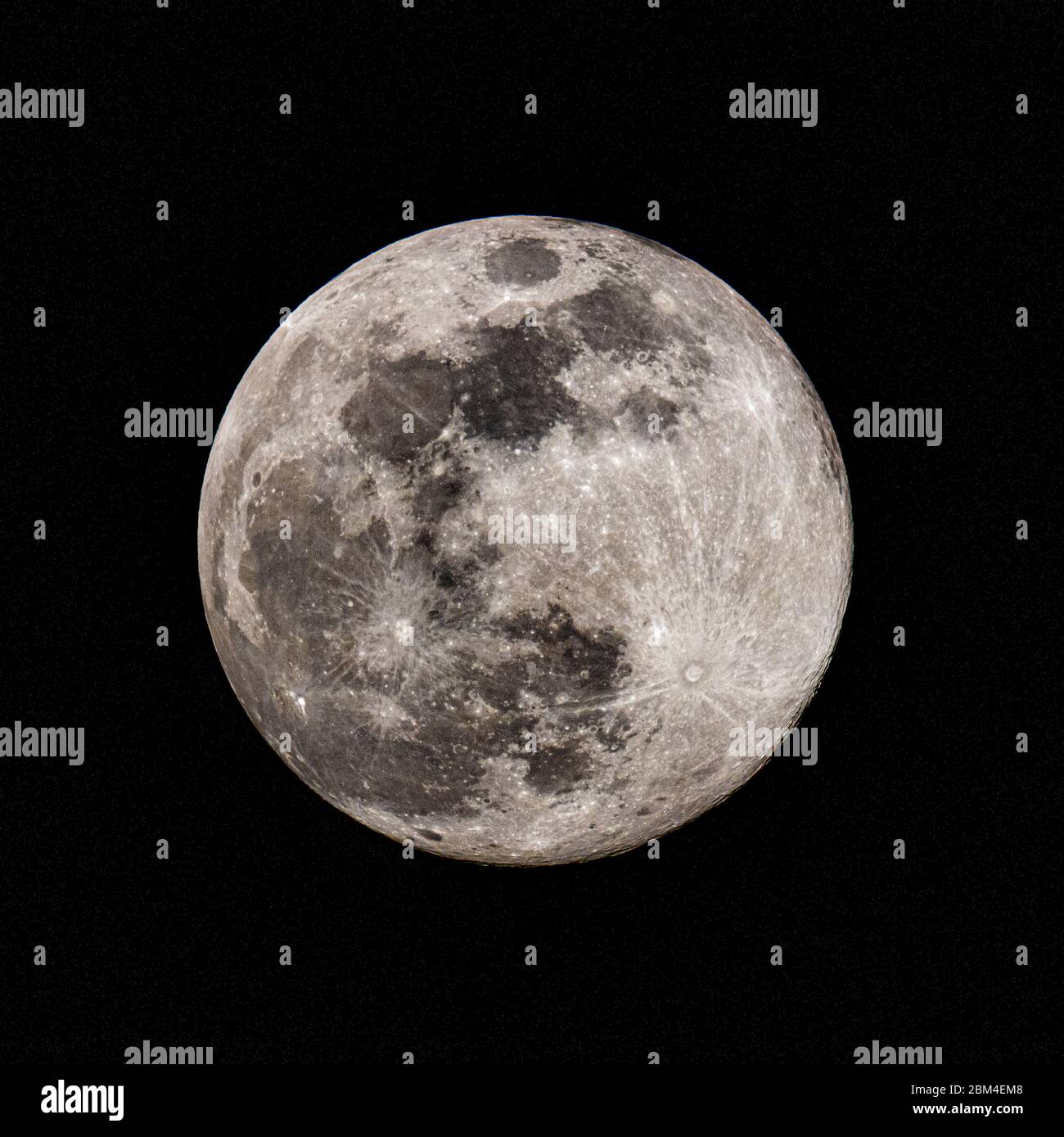 Flower Moon, May 6-2020, Chandler Az Stock Photo