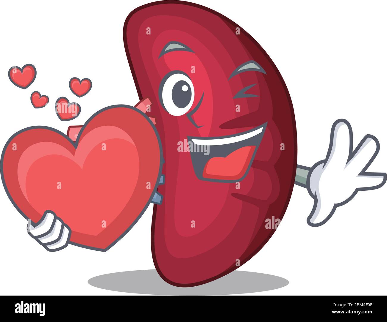 A sweet human spleen cartoon character style with a heart Stock Vector