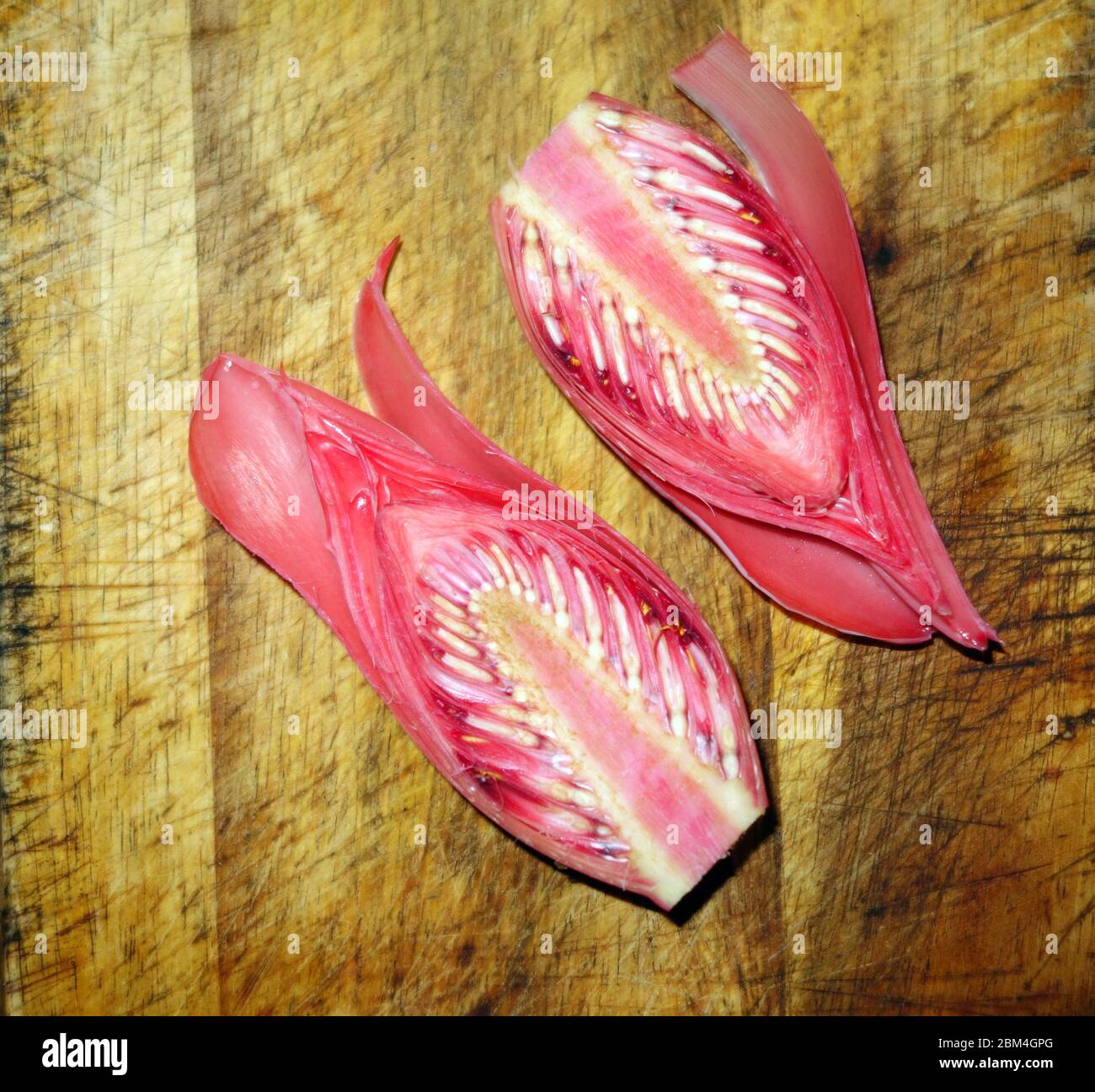 Flower of red torch ginger (Etlingera eliator) being prepared as an