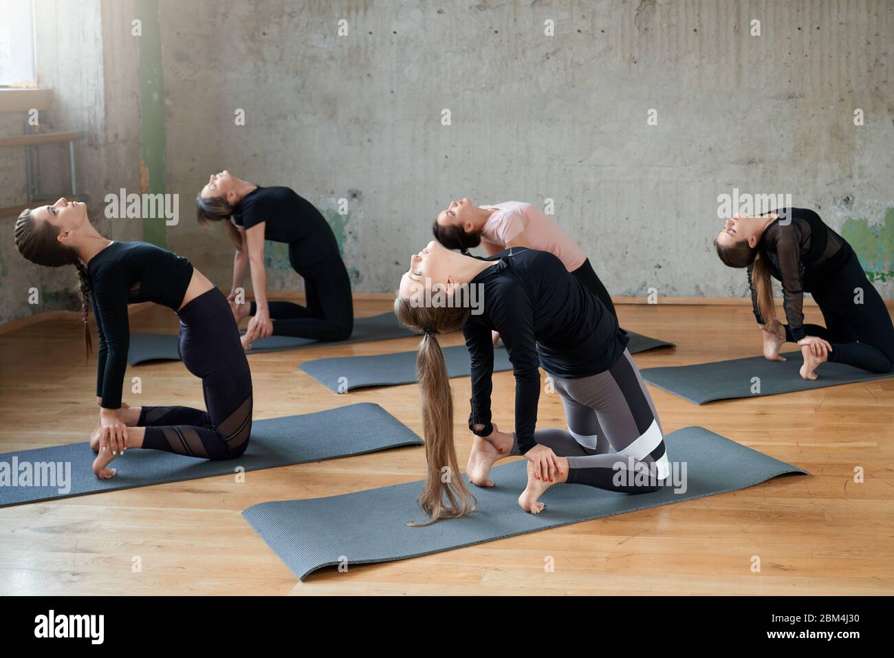 Side view of young fitnesswomen in sportswear practicing yoga pose, standing on knees and touching floor behind, practicing in studio, loft interior. Concept of healthy lifestyle, yoga. Stock Photo