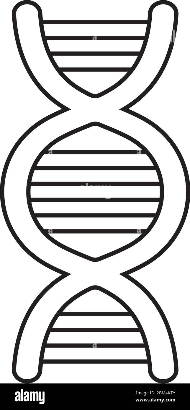 Dna structure line style icon design, Chromosome science molecule ...