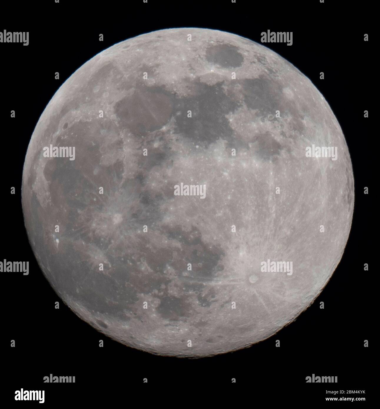 Closeup of the evening Moon rising on the evening of 6th May 2020 which will set in the early hours of the 7th May as the last 'supermoon' of 2020. Credit: Malcolm Park/Alamy. Stock Photo