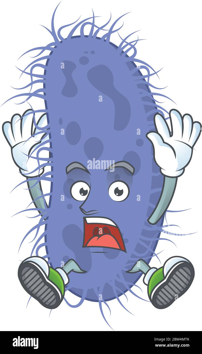 Salmonella Typhi High Resolution Stock Photography And Images Alamy