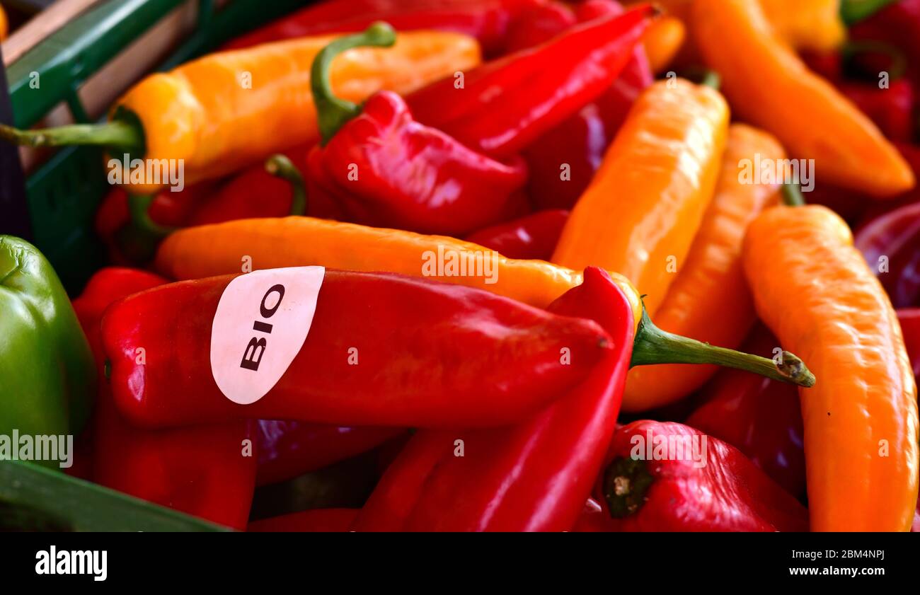 View of red, green and yellow paprika with the BIO inscription Stock Photo