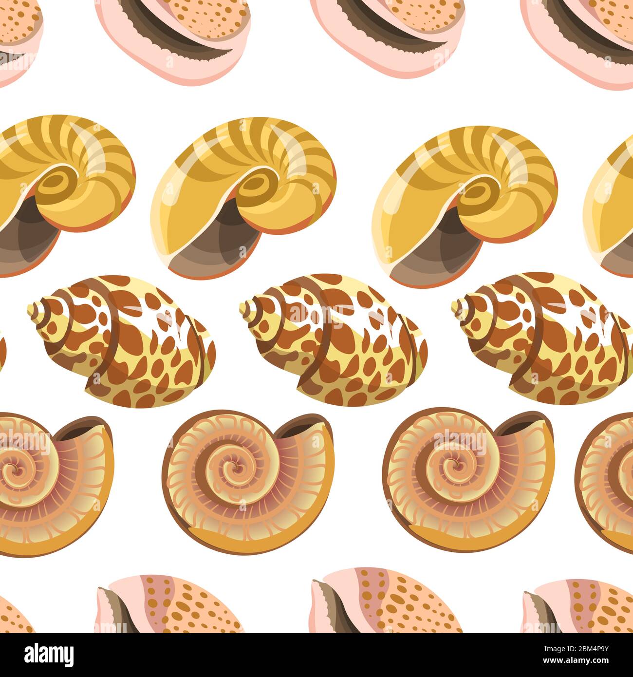 Seashell and conch, sealife shells and mollusks seamless pattern Stock ...
