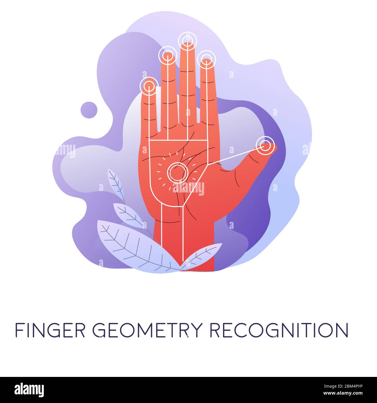 Hand geometry recognition Stock Vector Images - Alamy