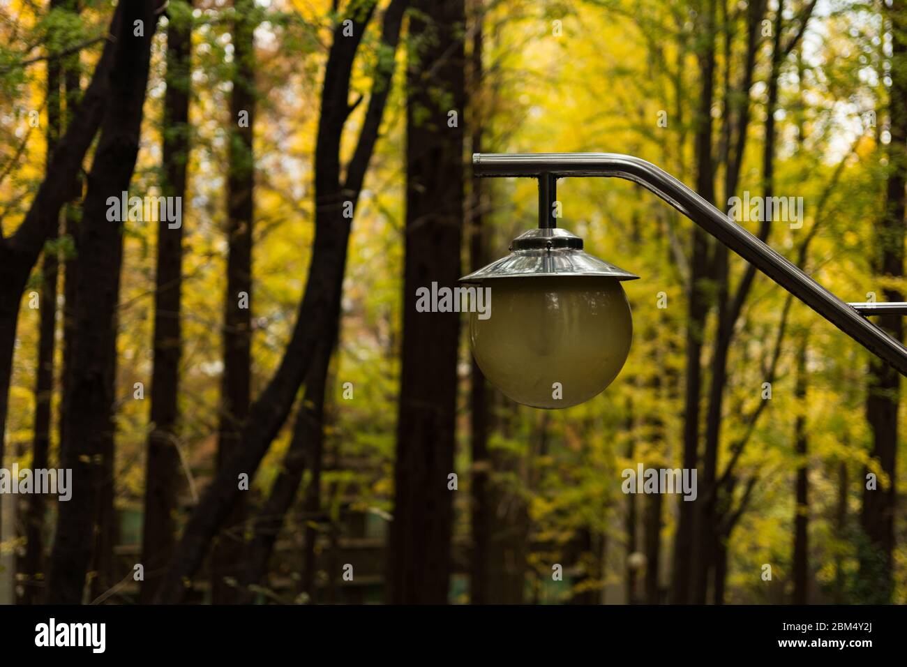 Autumn in Korea Stock Photo - Alamy