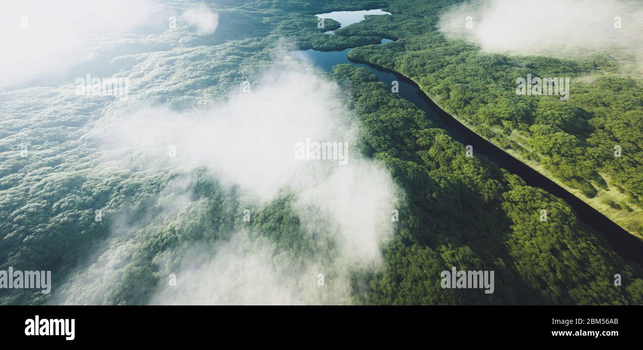 Aerial view of a dense amazonian rainforest with river. 3d rendering. Stock Photo