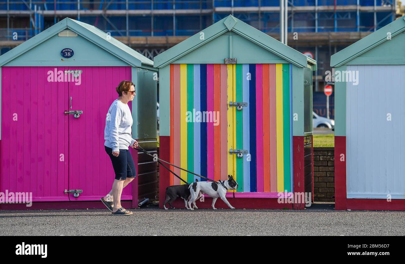 Brighton UK 7th May 2020 - A dog walker in the sunshine passes by colourful beach huts along Hove seafront on a beautiful sunny morning during the Coronavirus COVID-19 pandemic crisis . The weather is forecast to be hot and sunny over the next few days before turning cooler at the weekend . Credit: Simon Dack / Alamy Live News Stock Photo