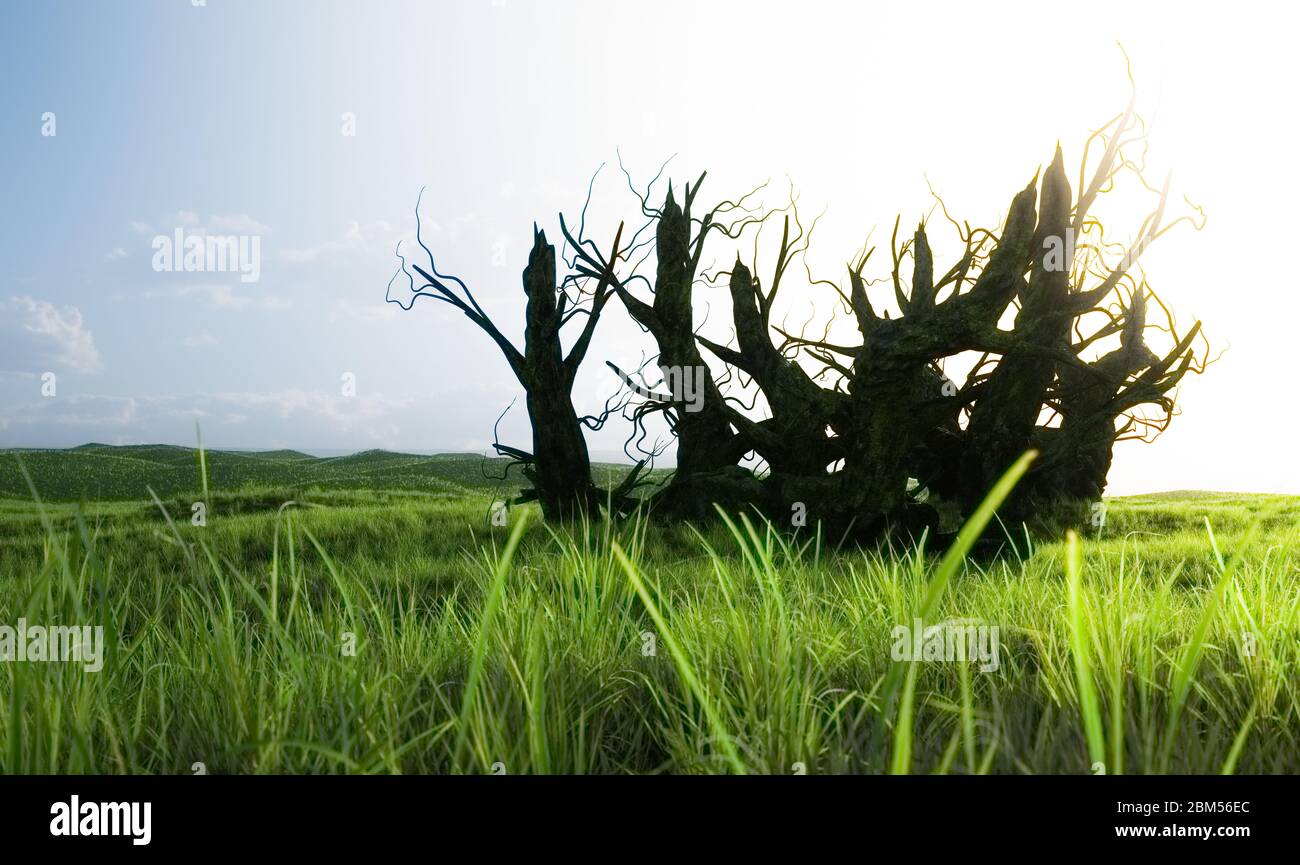 An old dying tree surrounded by a large meadow. The concept of nature's ability to regenerate and renew. 3d illustration. Stock Photo