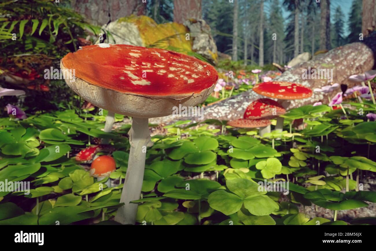 Closeup image of amanita muscaria mushrooms in a forest environment. 3d rendering. Stock Photo