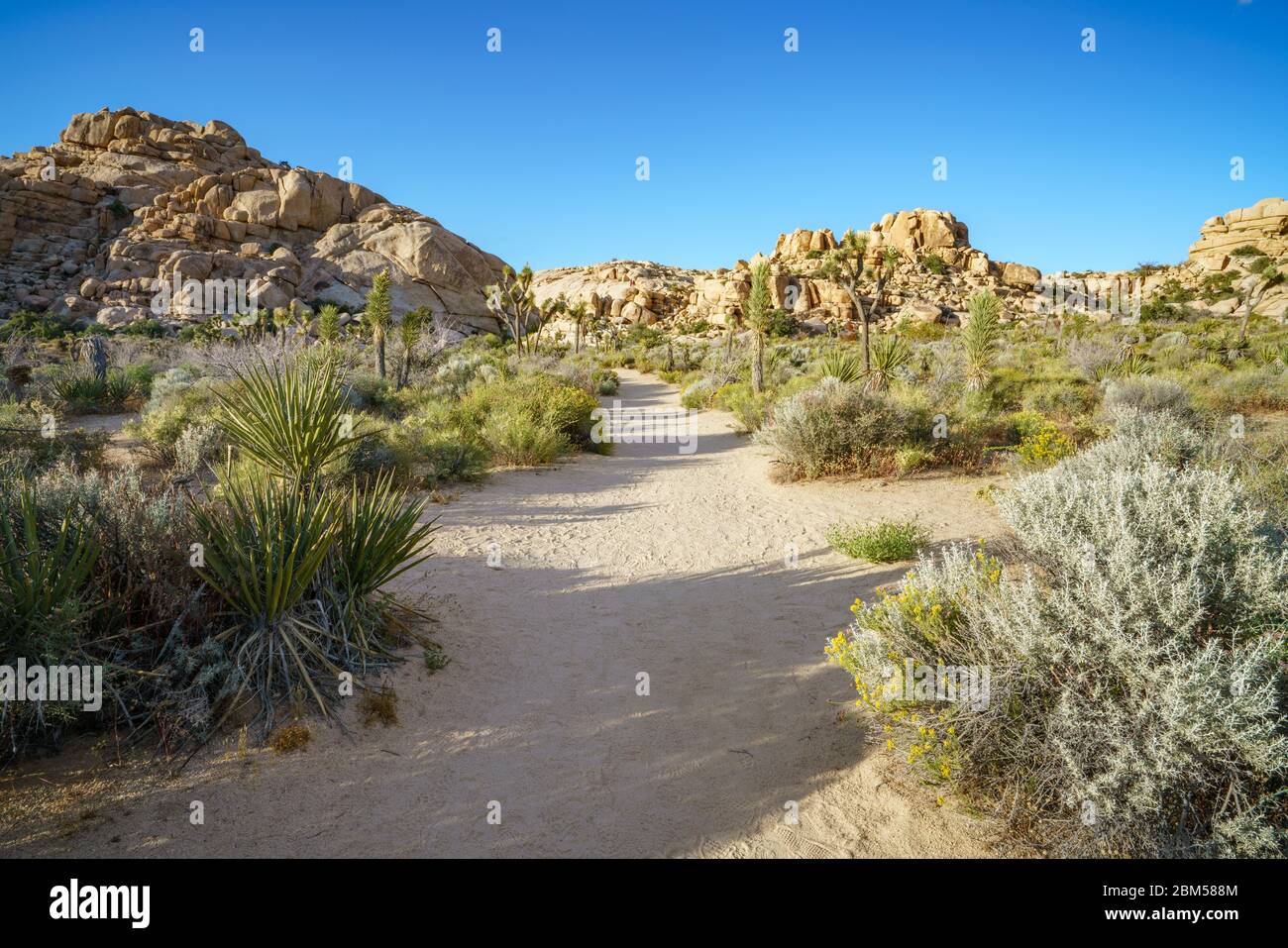 hiking the barker dam nature trail in joshua tree national park