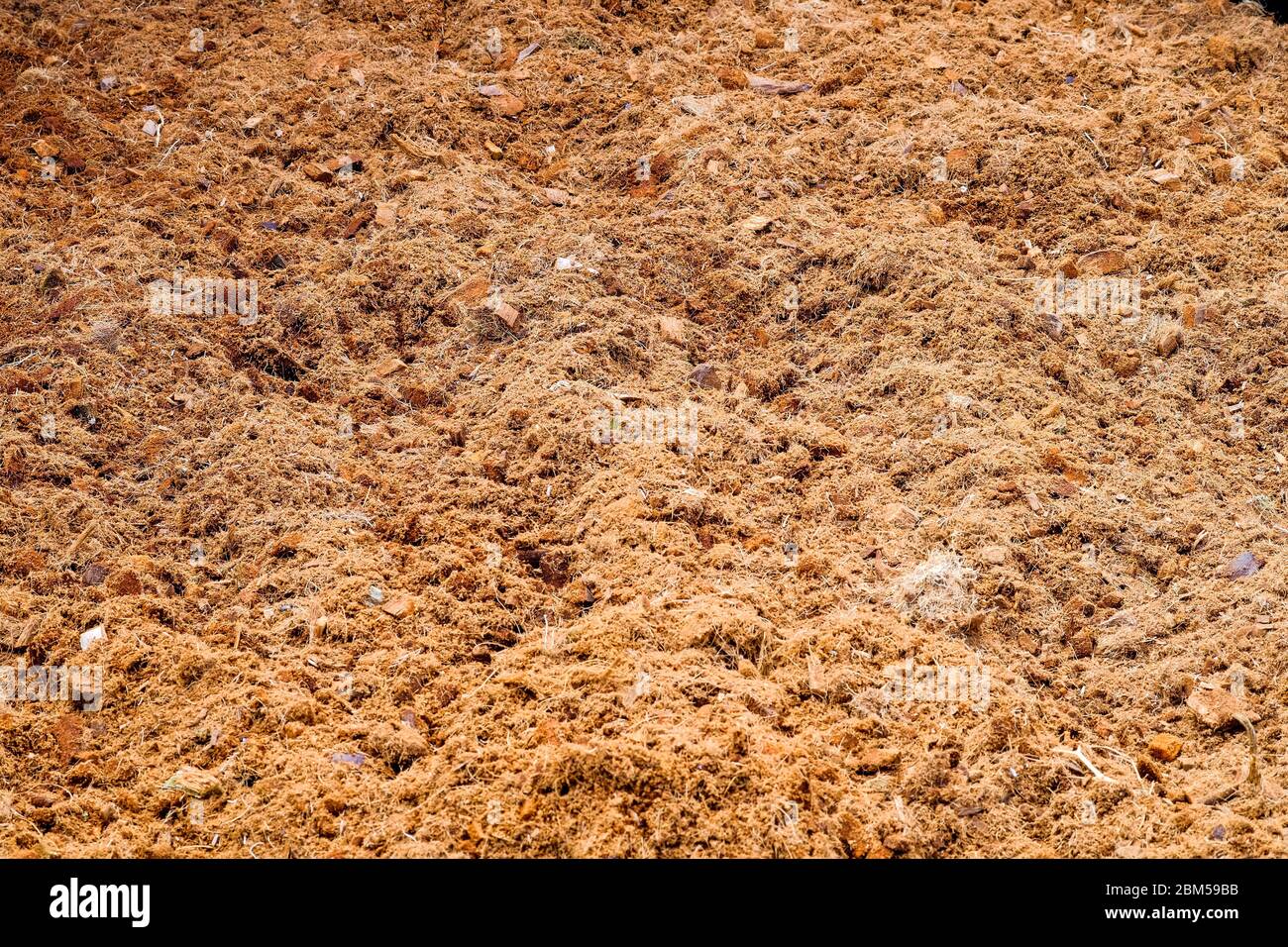 Soil for cultivation, with a mixture of fertilizer and Coconut husk to make food for plants Stock Photo