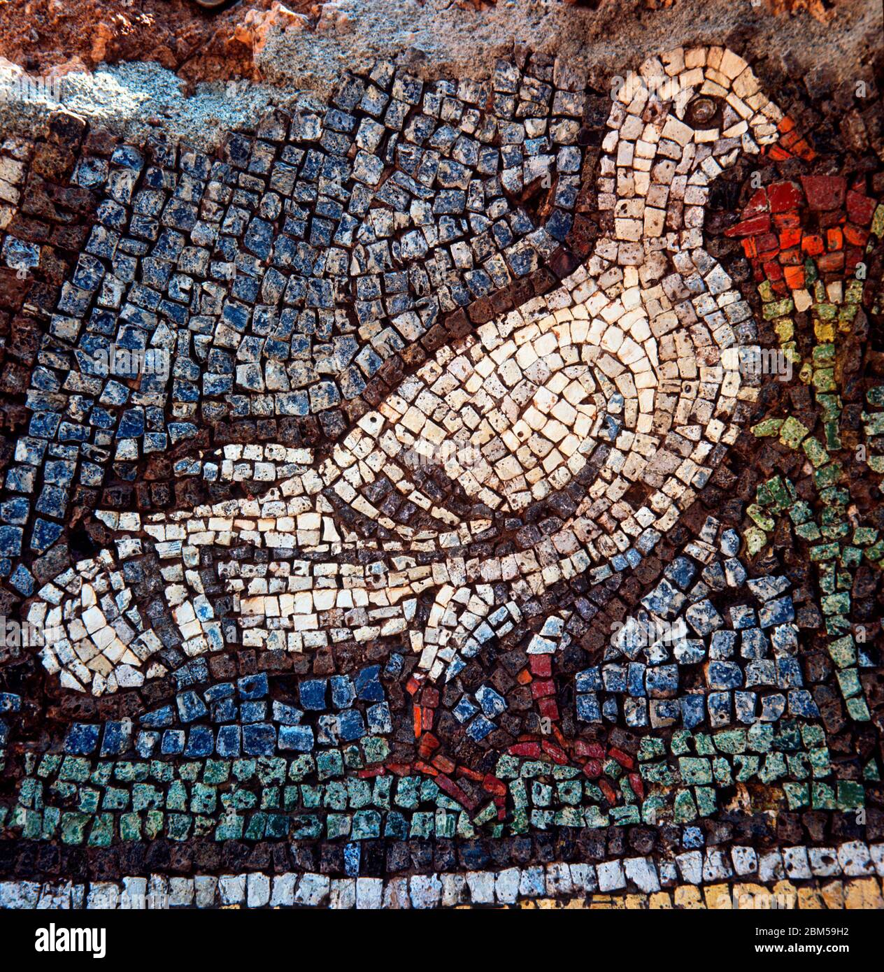 Turkey, Ephesus,  mosaic of a pigeon in one of the Roman Villas 2nd century AD Stock Photo