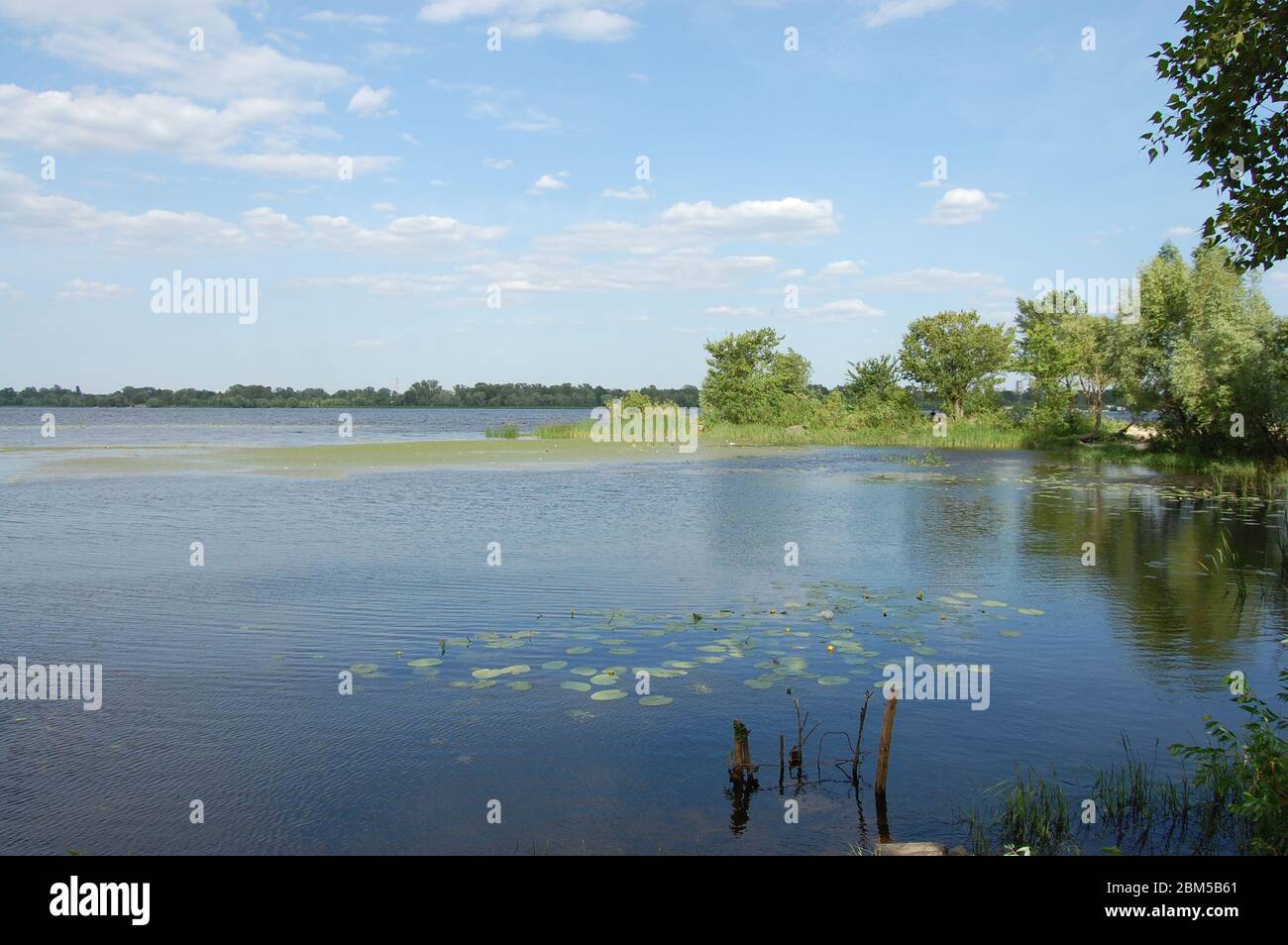 Beautiful river bank trees hi-res stock photography and images - Alamy