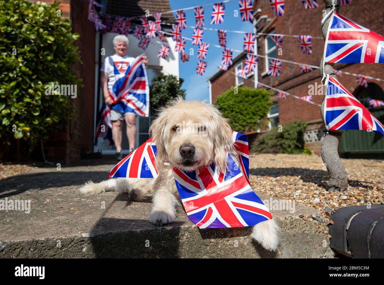 Pageantmaster of ve day 75 bruno peek his dog wilson hi-res stock ...