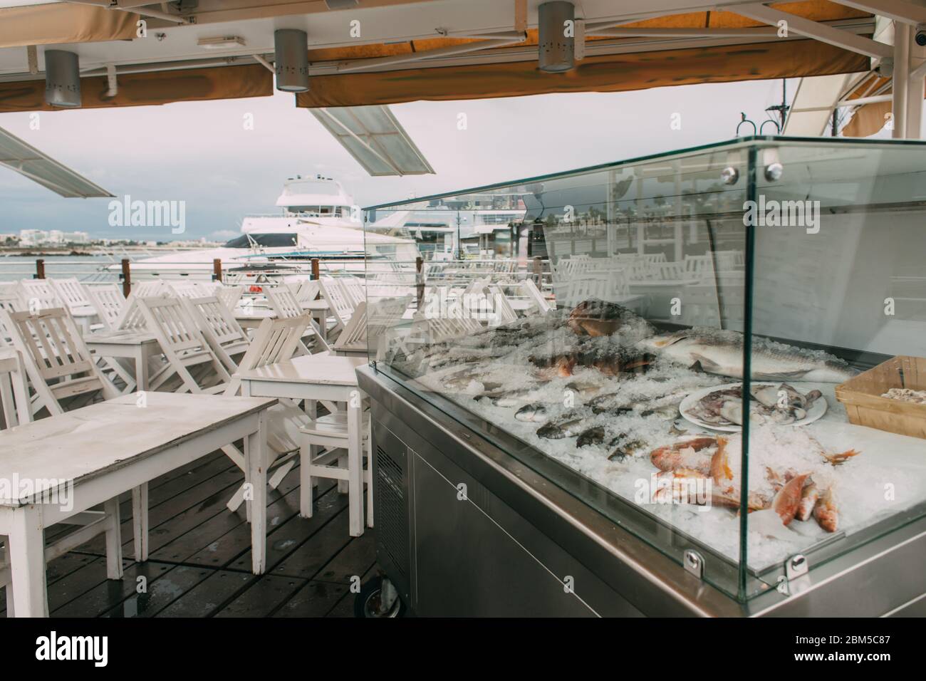 frozen fish in fridge near tables and chairs in restaurant Stock Photo