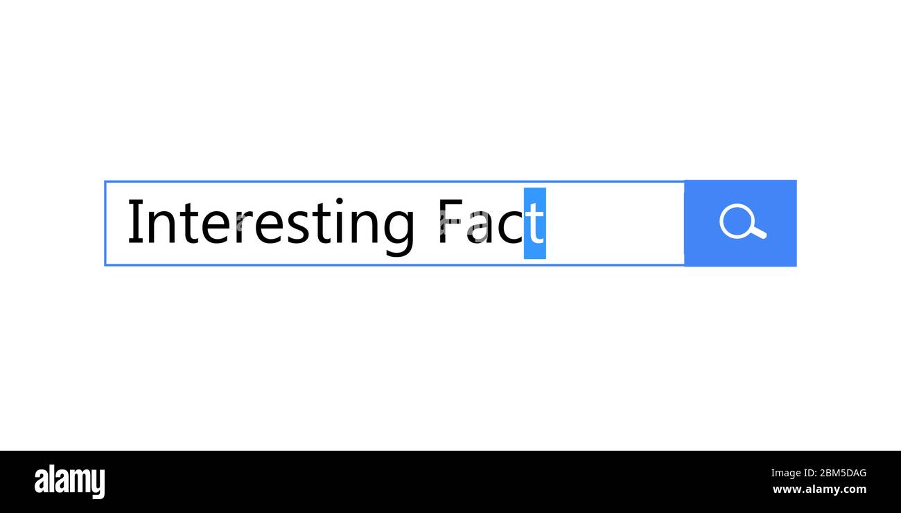 Search query in search bar for browser, template for site is an interesting fact and did you know, question bar, panel, window, vector illustration. Stock Vector