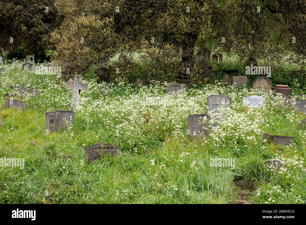 Gravestones in Brompton Cemetery, Kensington, London; one of the 'Magnificent Seven' London cemeteries, built in 1840. Stock Photo