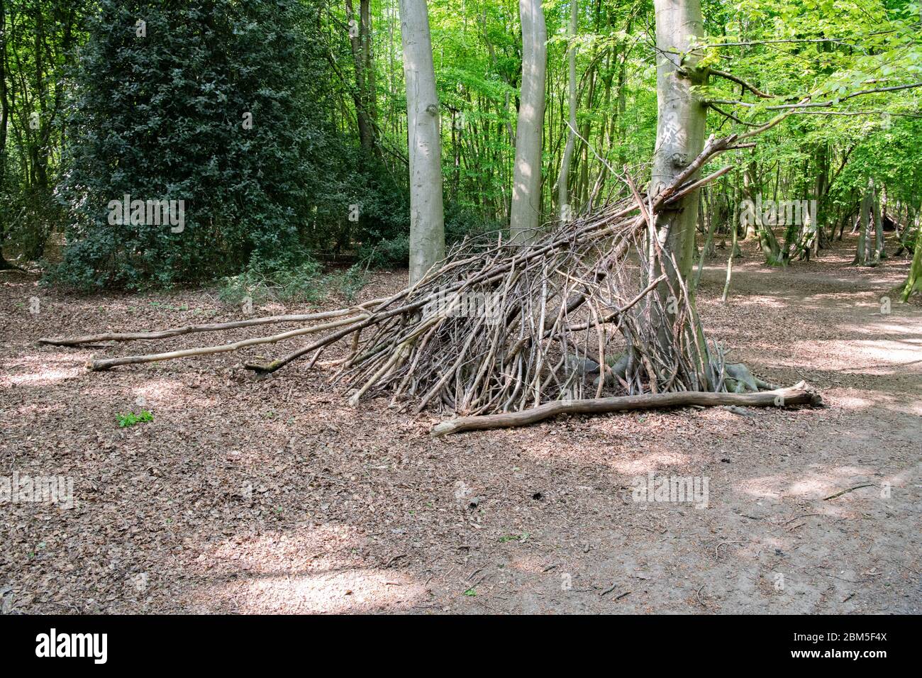 children makeshift lean to made up of sticks and branches in the wood Stock Photo