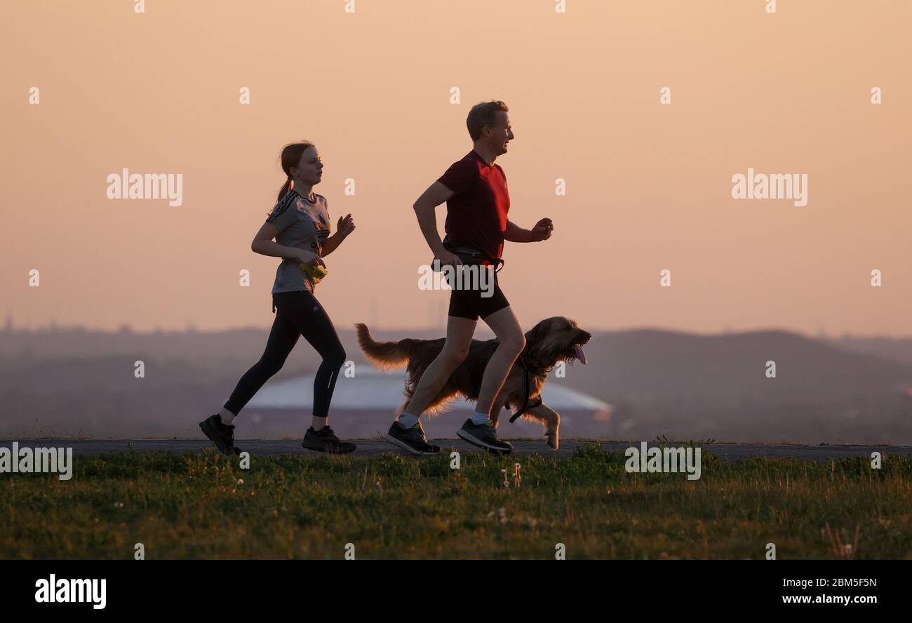 firo: 06.05.2020 Ruhr area, Halde Hoheward Ruhrpott, sunset, jogging, jogging, leisure time, running with dog in front of the arena Auf Schalke in the background, time for two, Halde, Ruhr area backdrop, in the background that in the versus light, feature that is Halde Hoheward a rock pile in the Ruhr area. It originated from the collapse of the Recklinghausen II colliery, the Ewald colliery and the General Blumenthal/Haard colliery. Located between the cities of Herten and Recklinghausen, it forms, together with the Hoppenbruch heap, the grv? Vute heap landscape of the Ruhr area. The highes Stock Photo