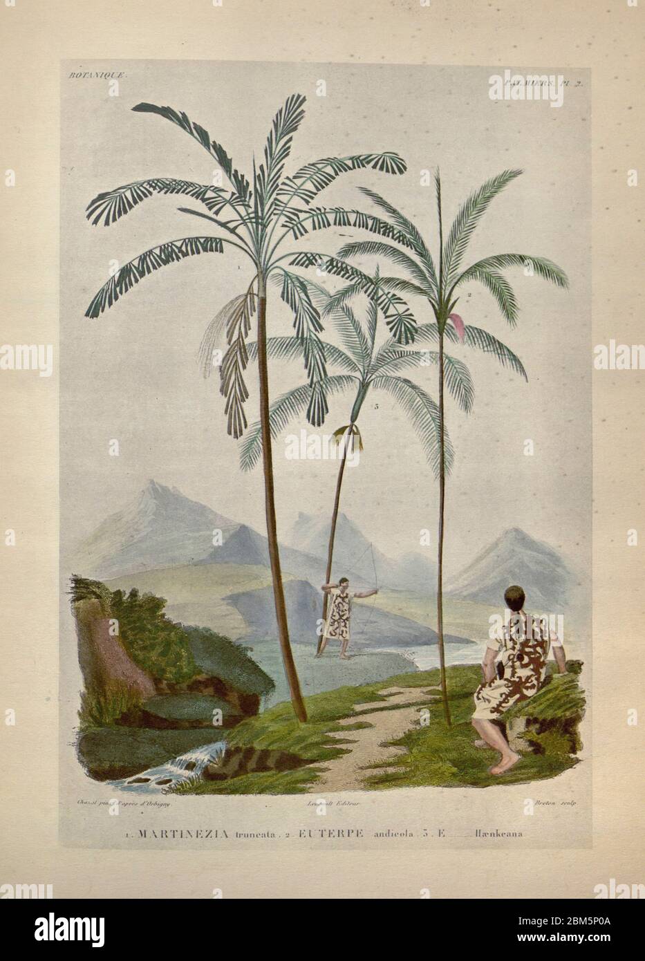 Vintage illustration of indigenous people of south america hi-res stock ...