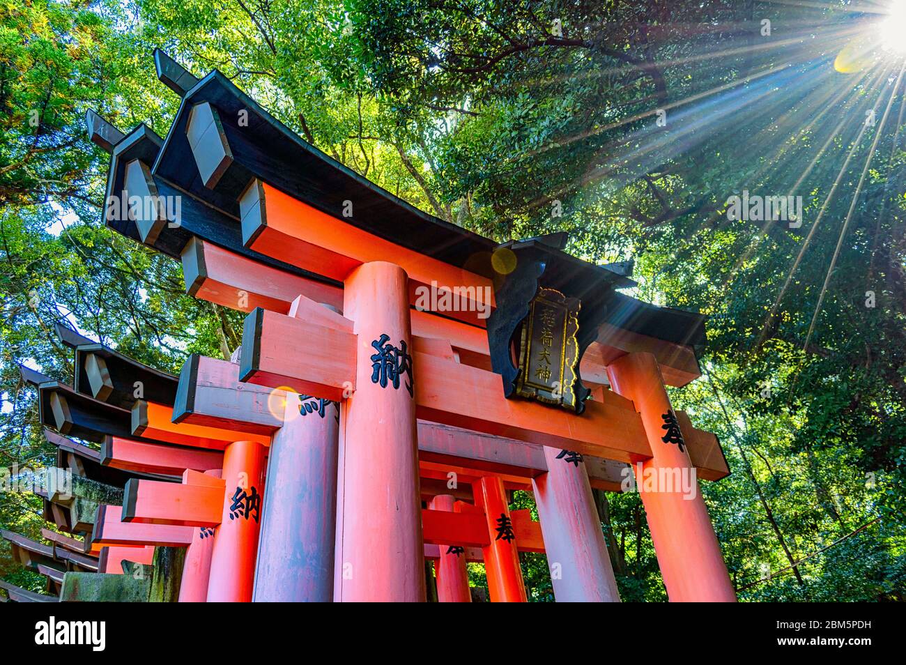 Rows of red torii gates of the Fushimi Inari shinto shrine in Kyoto ...