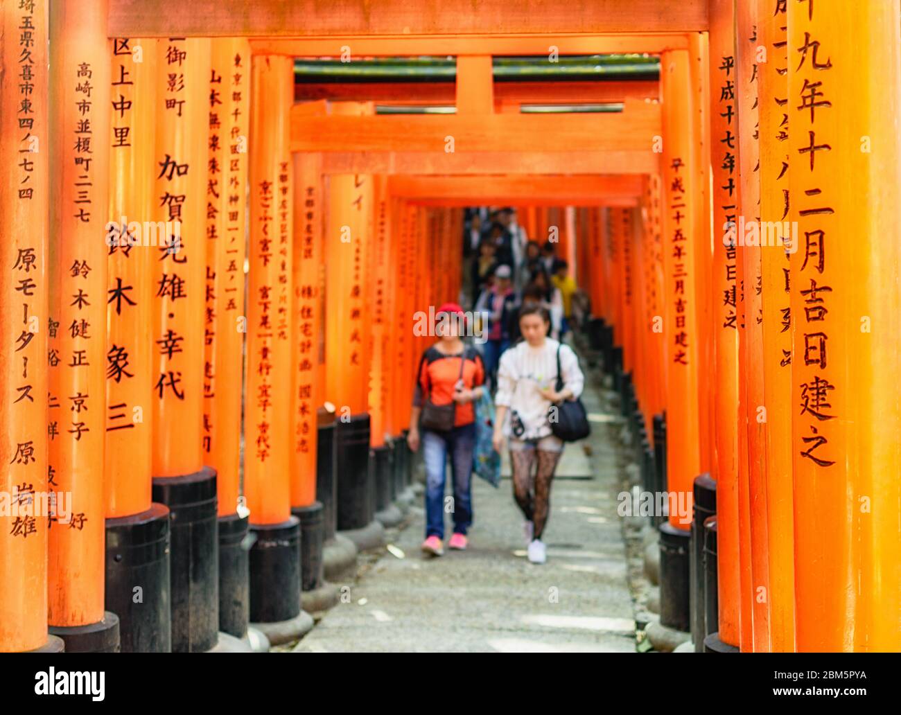 Torii Gates In Forest Fushimi High Resolution Stock Photography And Images Alamy