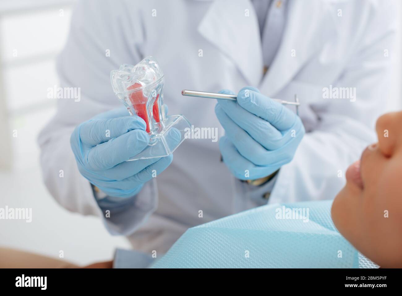 cropped view of dentist holding dental instrument neat tooth model and ...