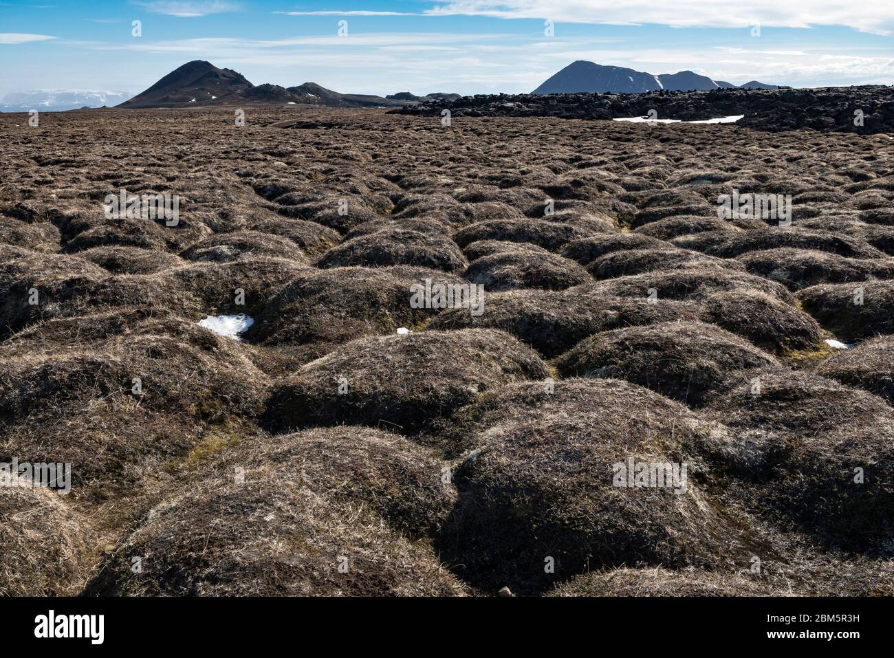 Turf mounds or grass tussocks in the Leirhnjúkur geothermal area, near Myvatn in NE Iceland, in early spring Stock Photo