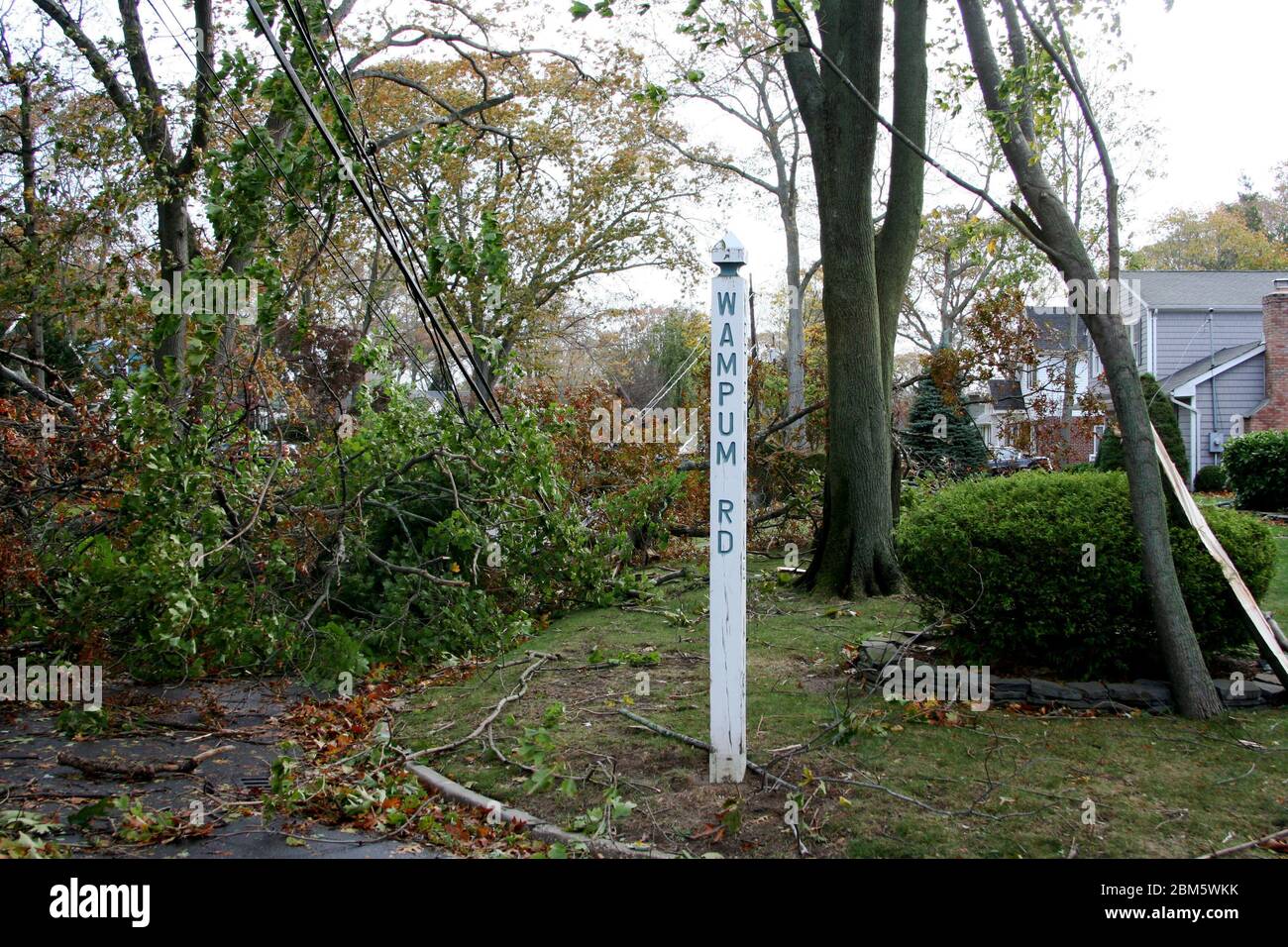 Tree branches pulling down wires in Babylon Village after Super Storm Sandy Stock Photo