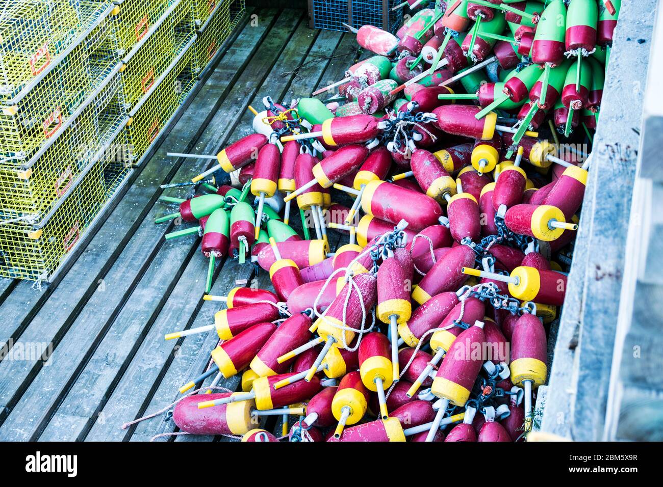 Yellow lobster traps and many different colored buoys are stored on a