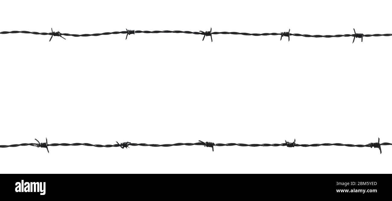 Barb wire fence isolated on white background Stock Photo
