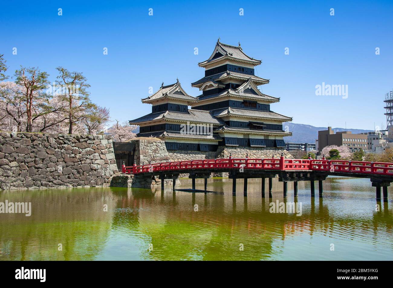 Springtime,cherry blossom Matsumoto Castle. Also known as "Crow Castle" due to its black ...
