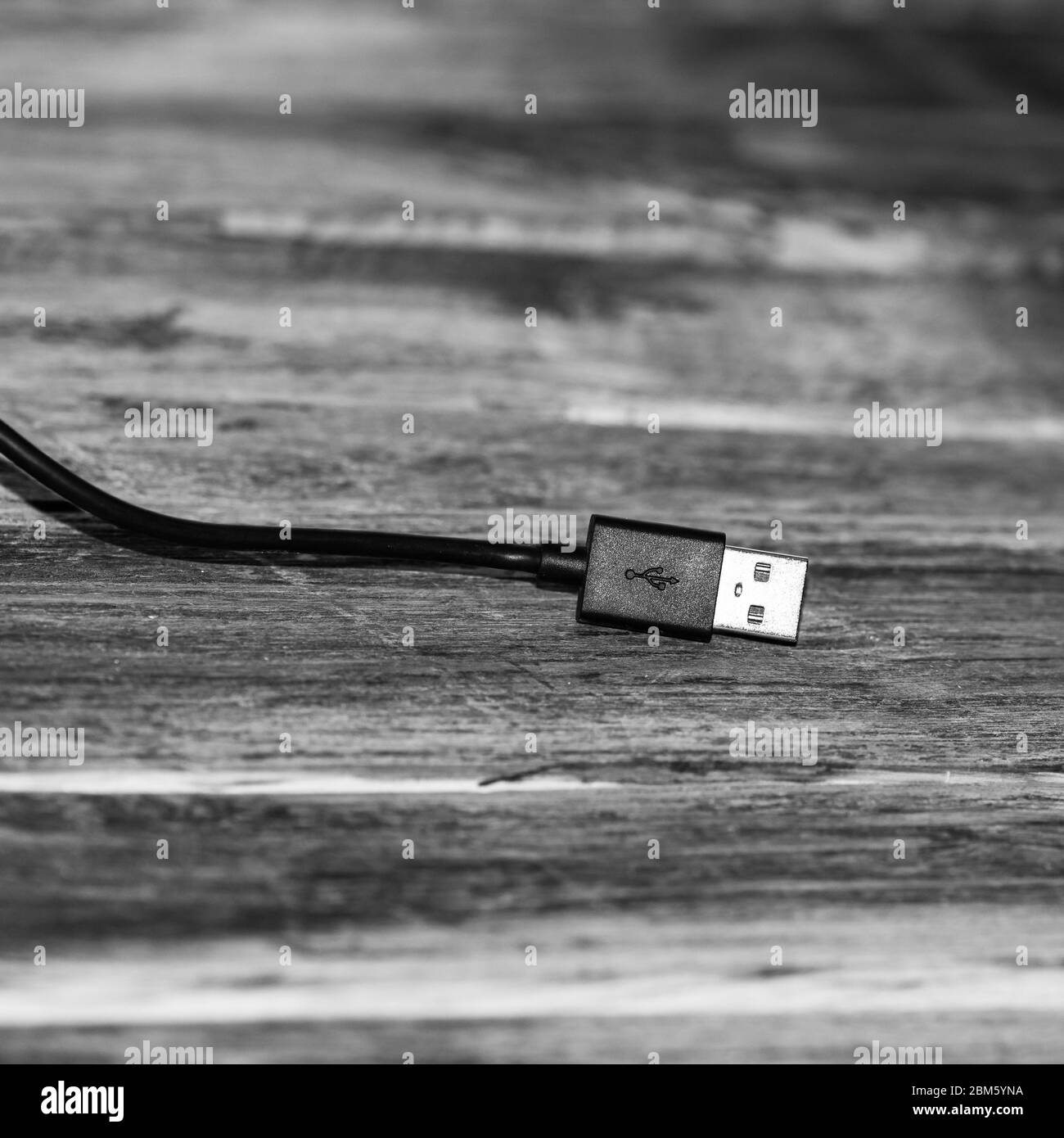 Close up of black USB cable isolated, cable USB connection. Stock Photo