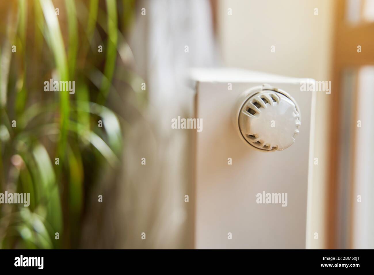 Radiator in the apartment. White heated battery. Thermostat head of a