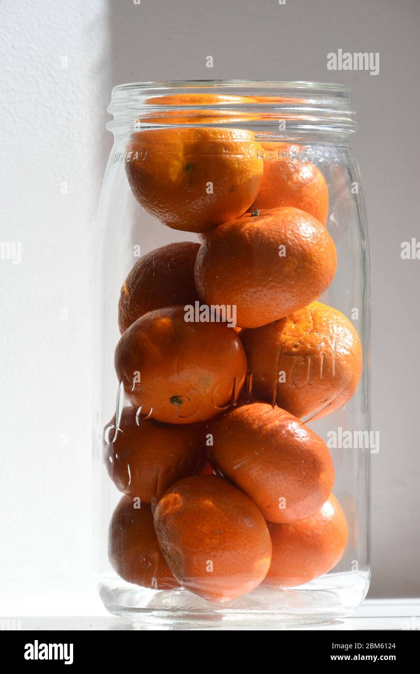 Jar filled with small oranges for marmalade Stock Photo