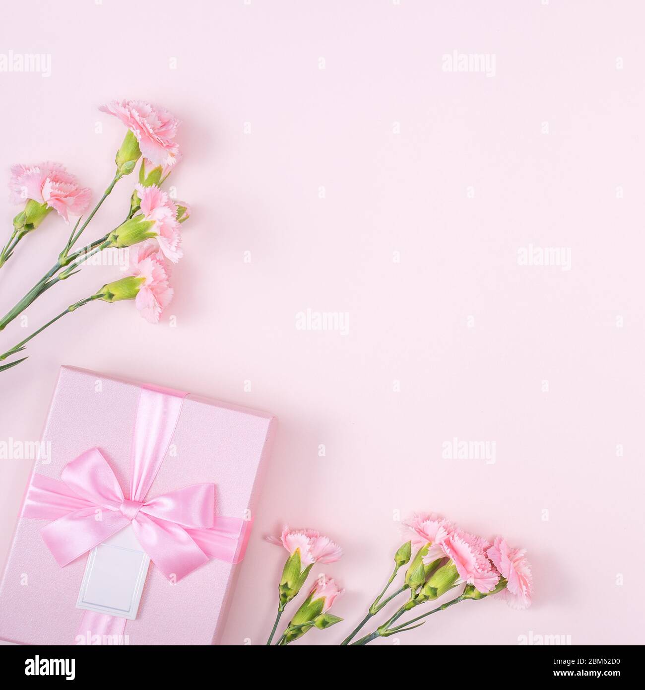 Mother's Day, Valentine's Day background design concept, beautiful pink carnation flower bouquet on pastel pink table, top view, flat lay, copy space. Stock Photo