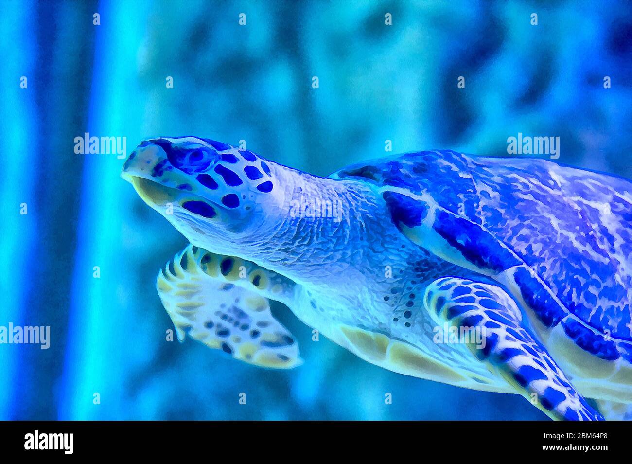 https://c8.alamy.com/comp/2BM64P8/turtle-close-up-view-colorful-painting-looks-like-picture-2BM64P8.jpg