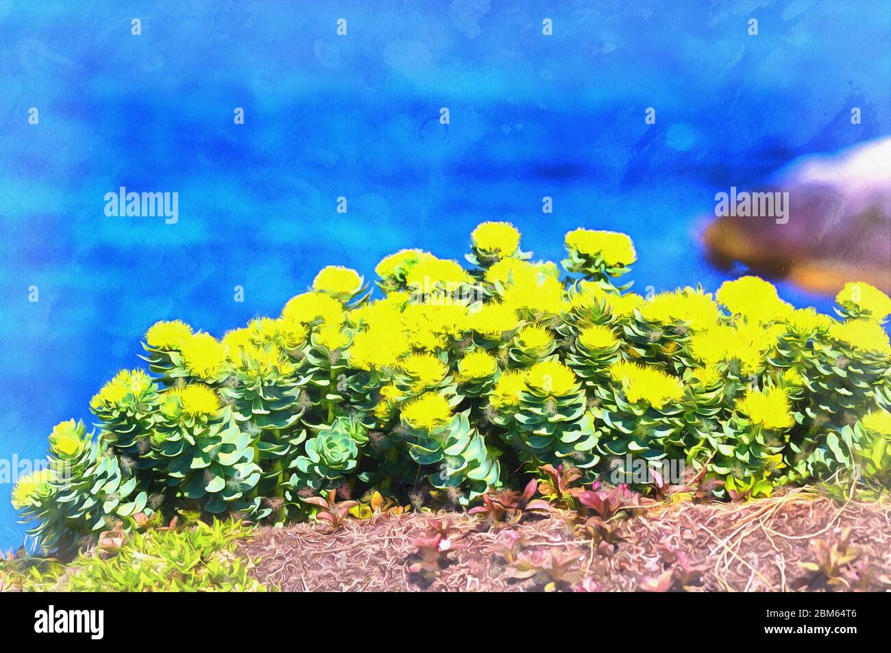 Arctic flowers close up tundra view colorful painting looks like picture Stock Photo